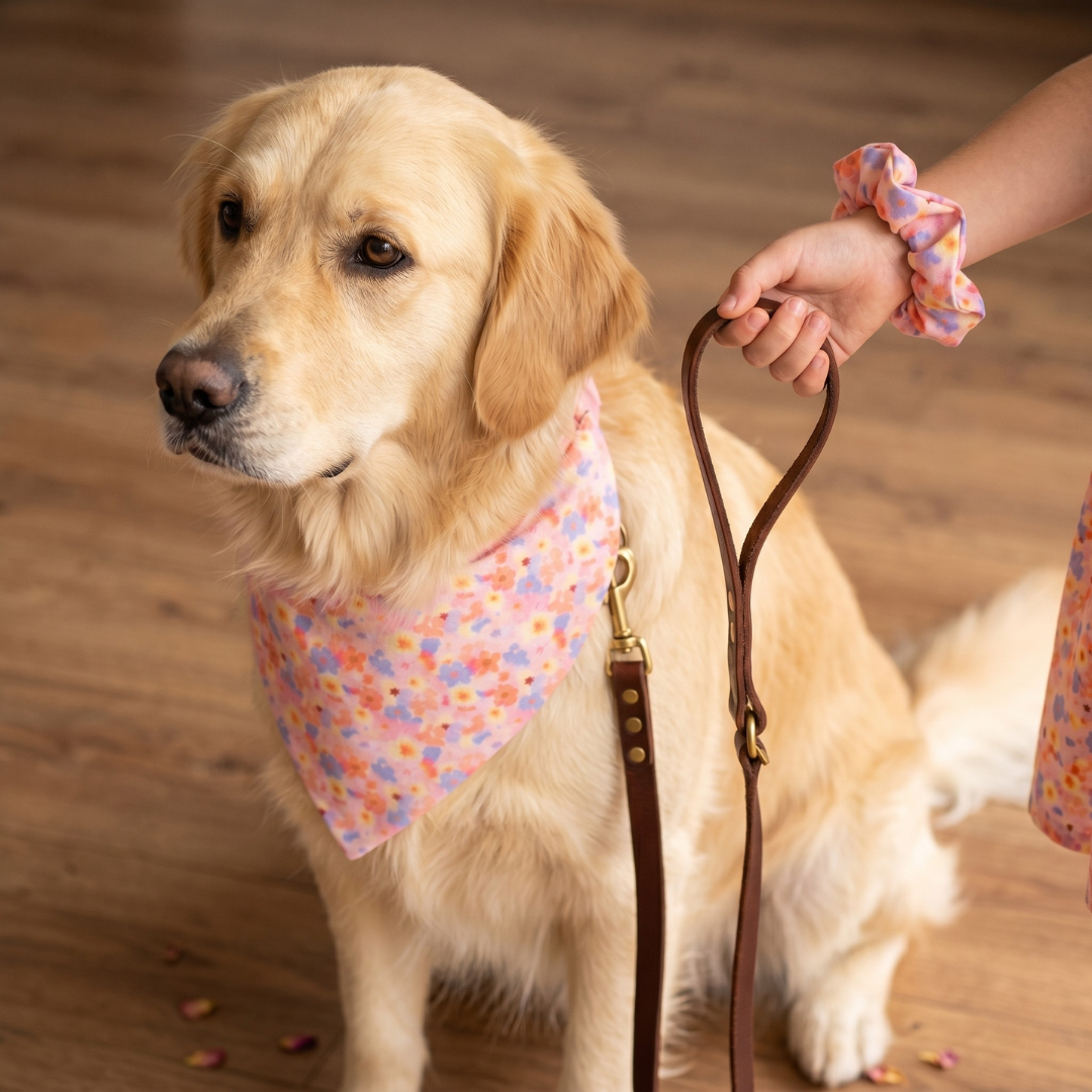 Ralph - Dog Bandana & Scrunchie Set
