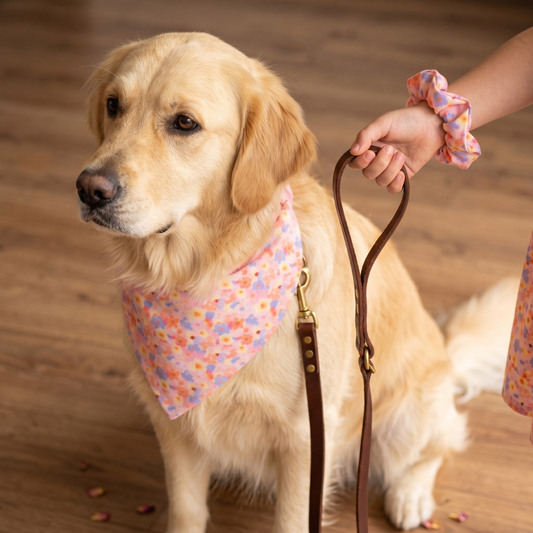 Ralph - Dog Bandana & Scrunchie Set